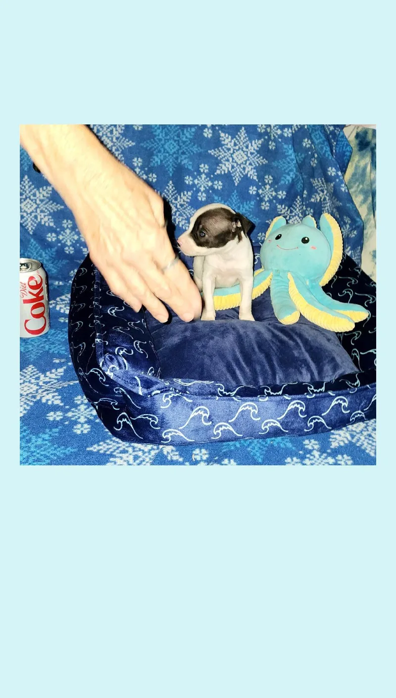 Coke & Diet Coke thumbnail 5