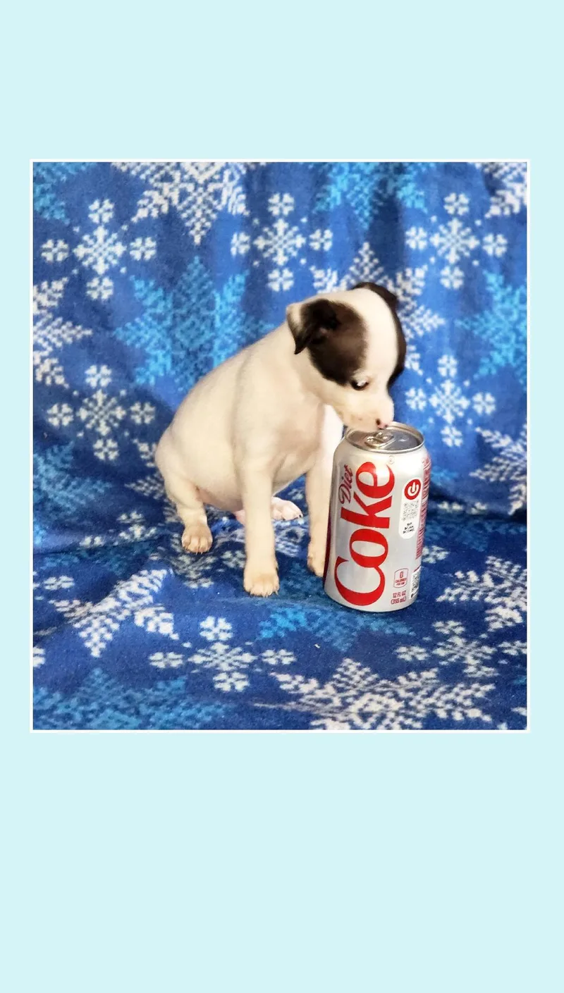 Coke & Diet Coke thumbnail 6