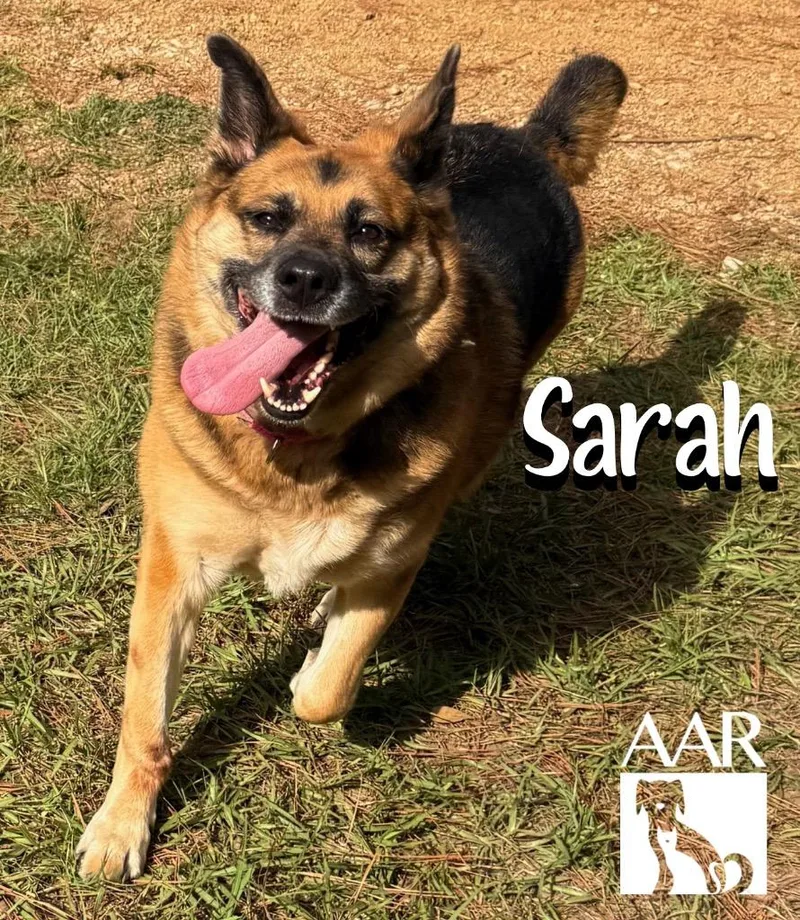 Sarah thumbnail 2