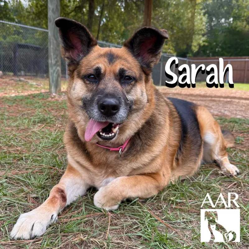 Sarah thumbnail 3