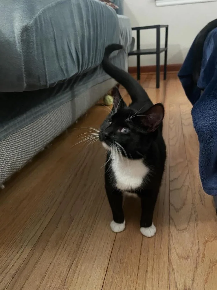 Bootsie Mae