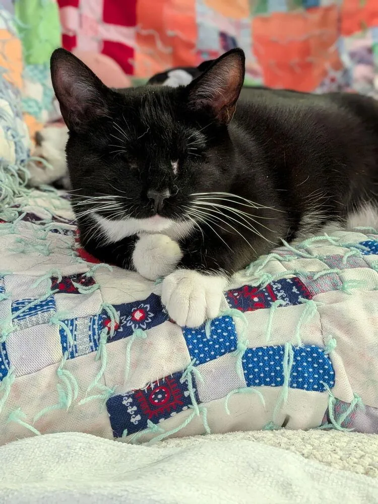 Bootsie Mae thumbnail 2