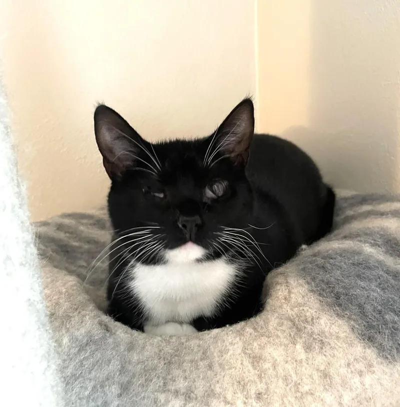 Bootsie Mae thumbnail 3