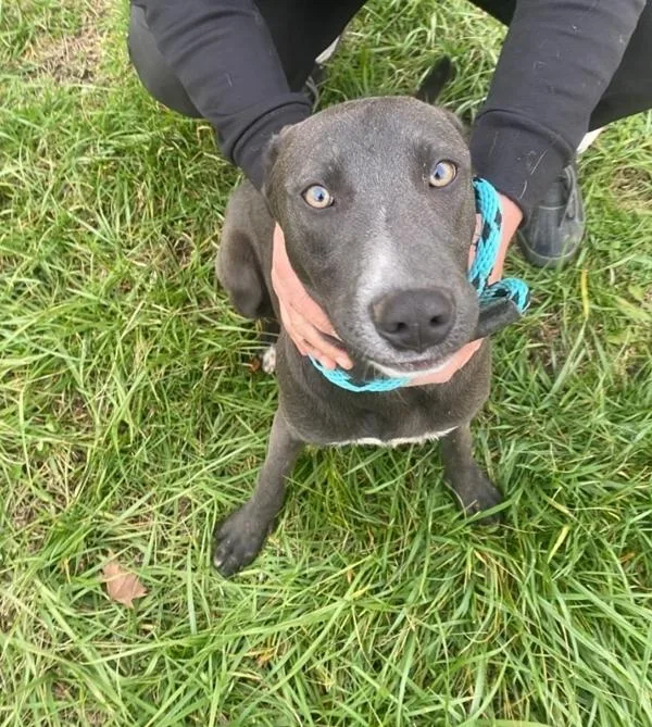 Crystal Springs thumbnail 3