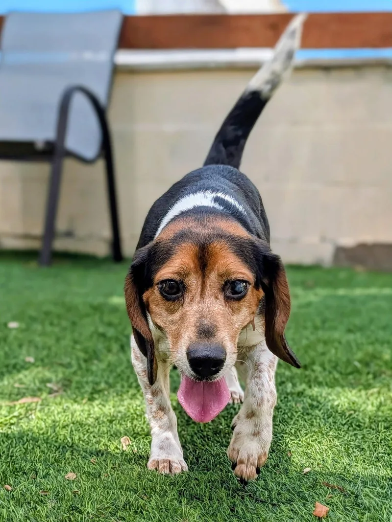 Thelma Iii thumbnail 3