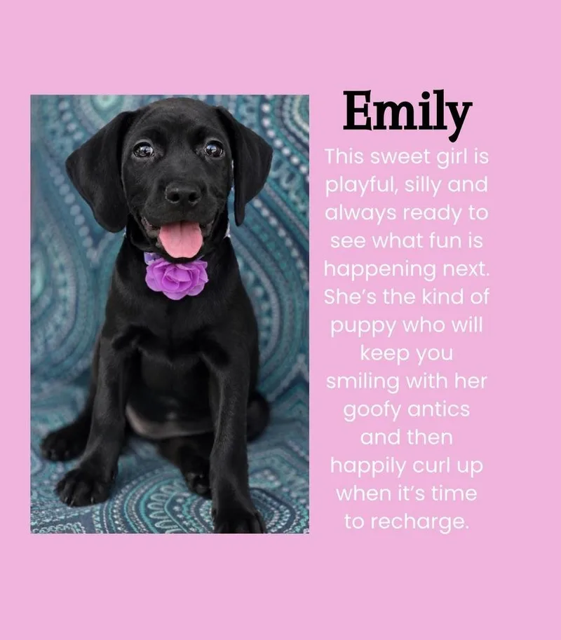 Emily