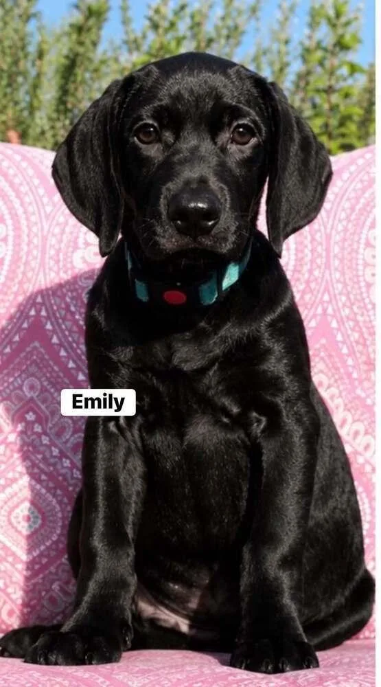 Emily thumbnail 2
