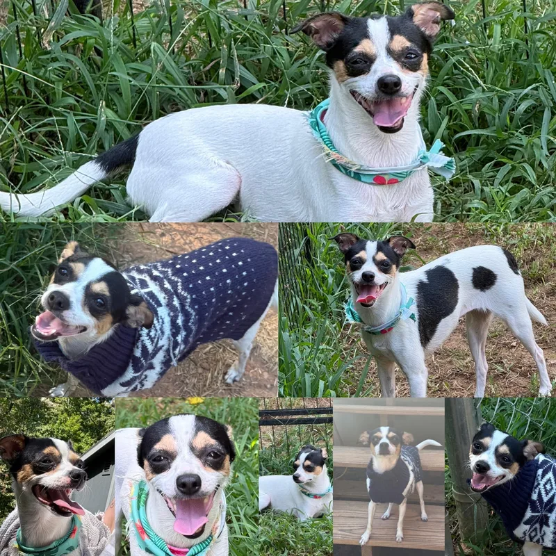 Zoey thumbnail 2