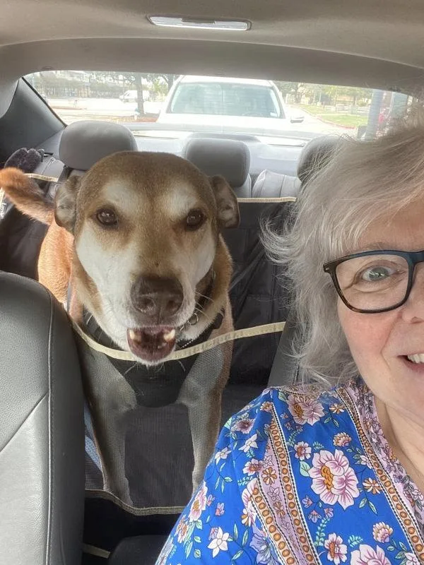 Teddy Bear thumbnail 6