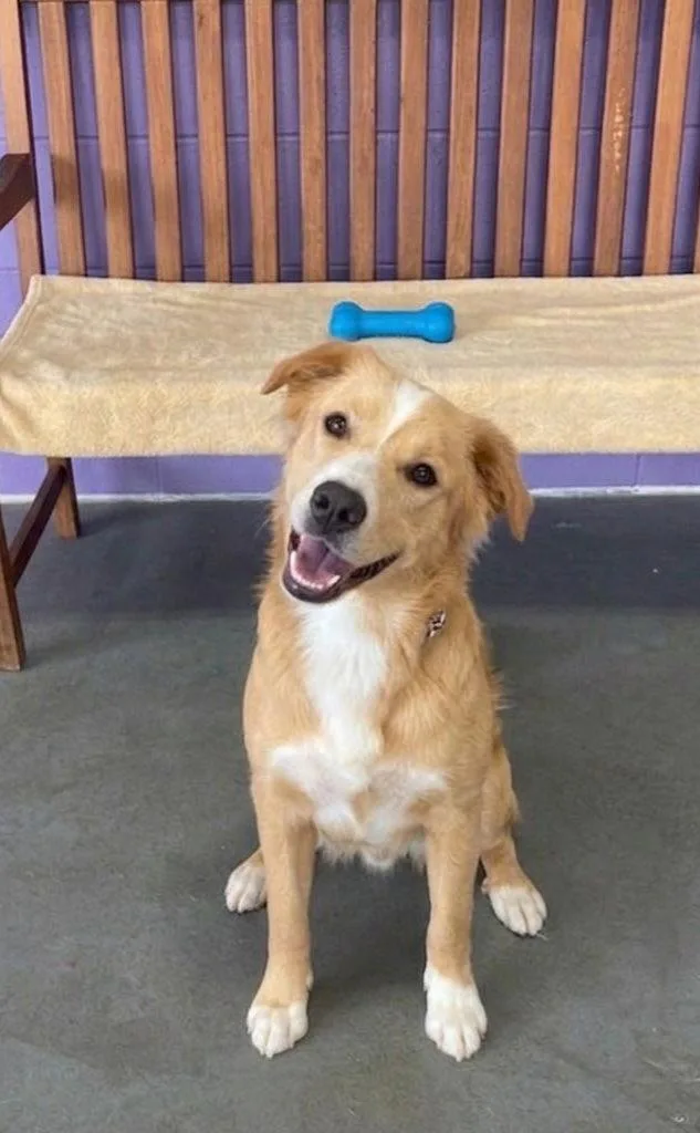 Butters