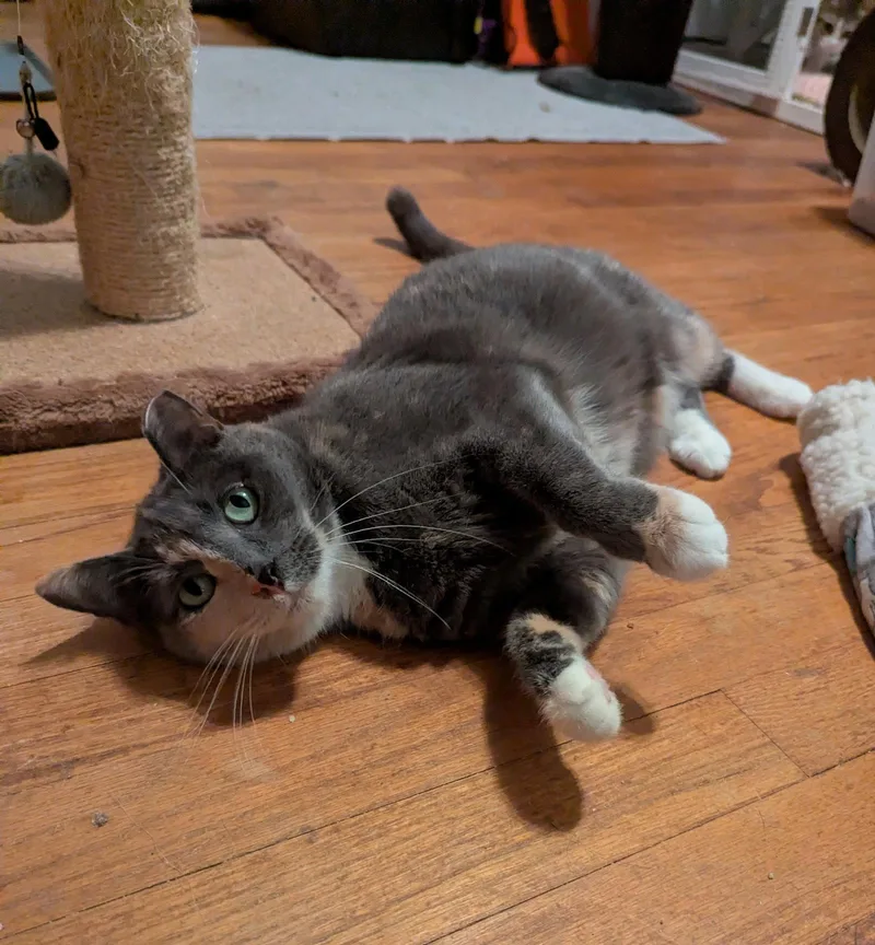 Lexie thumbnail 3