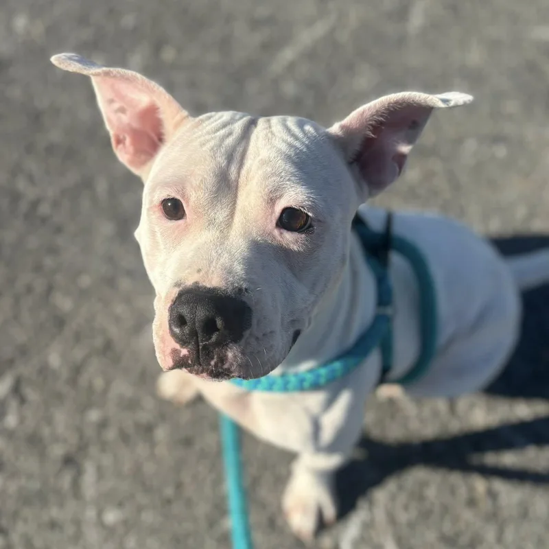 Margaret thumbnail 2