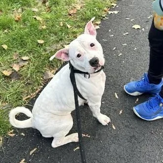 Margaret thumbnail 3