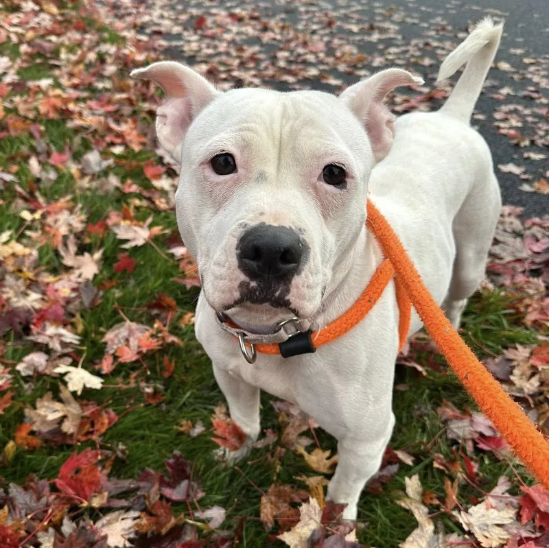 Margaret thumbnail 4