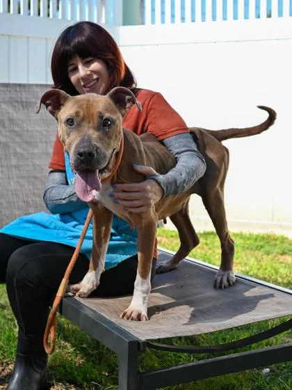 Princess thumbnail 2