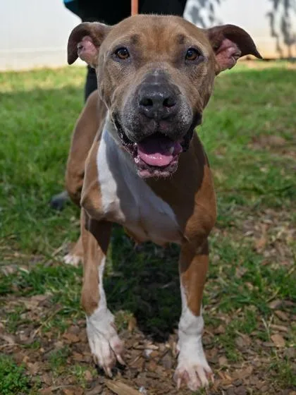 Princess thumbnail 3