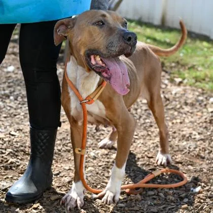 Princess thumbnail 4