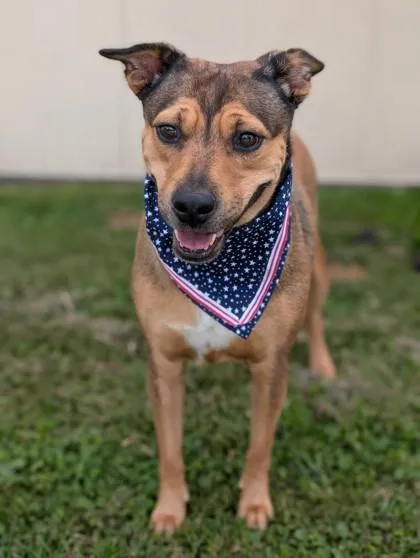 Delilah