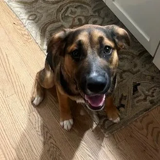 Walter