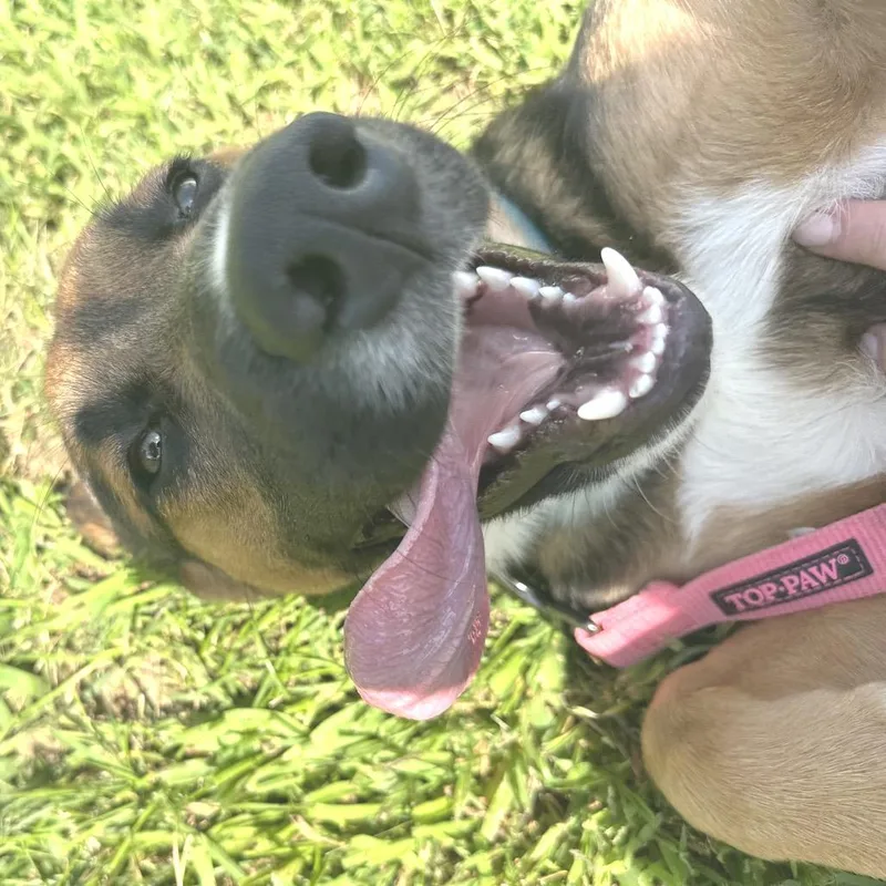 Walter thumbnail 3