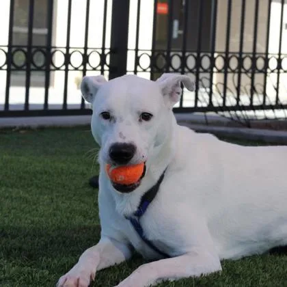 Casper thumbnail 2