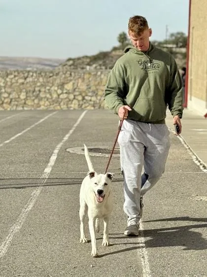 Casper thumbnail 3