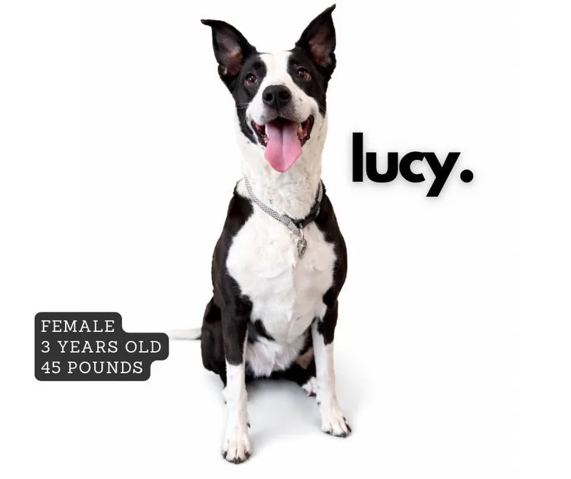 Lucy