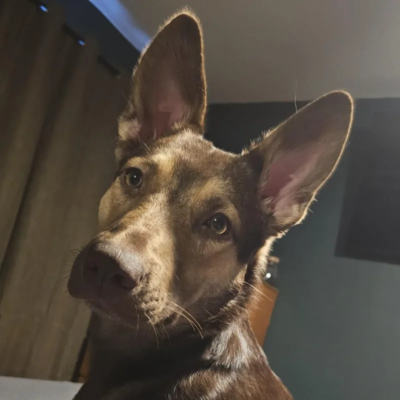 Sasha thumbnail 3