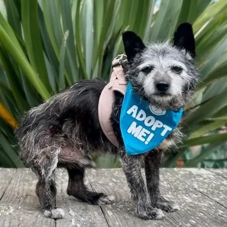 Bob Barker thumbnail 6