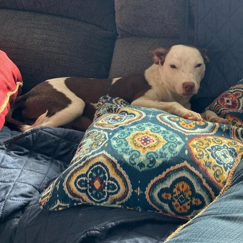 Zaarina "your Girl." thumbnail 3