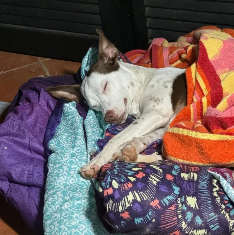 Zaarina "your Girl." thumbnail 4