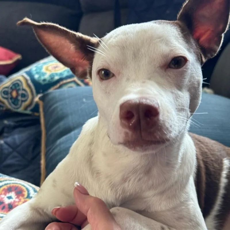 Zaarina "your Girl." thumbnail 5