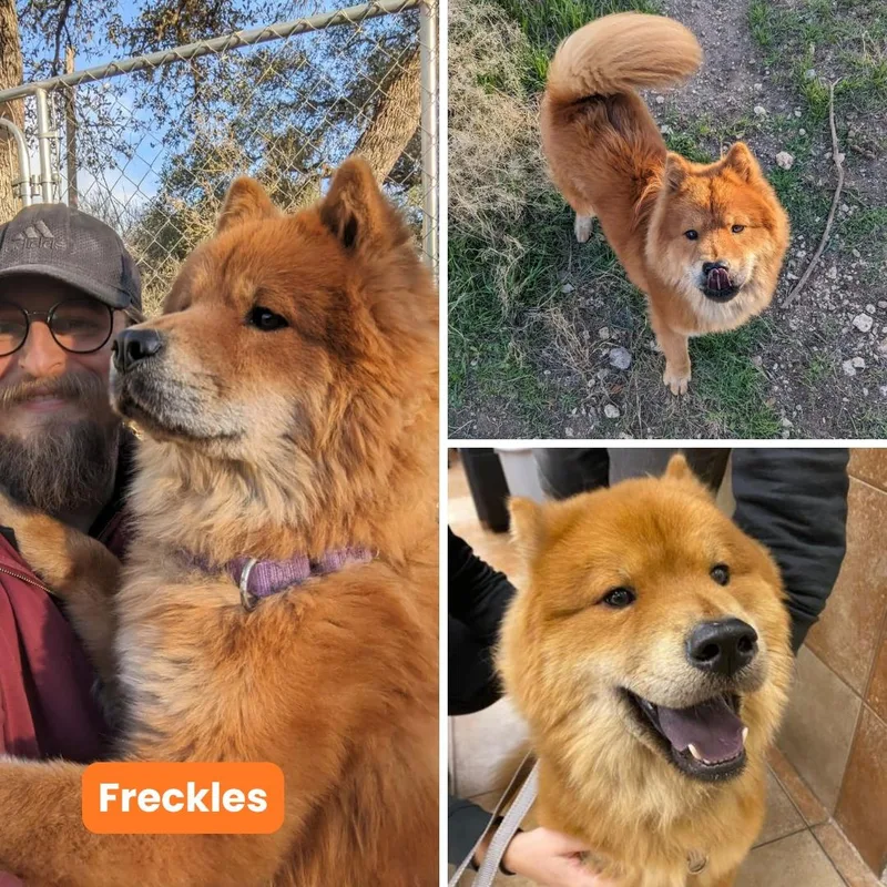 Freckles thumbnail 2