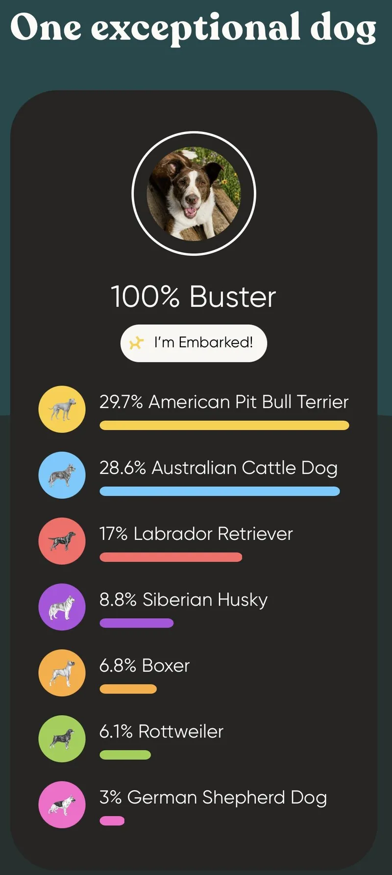 Buster thumbnail 2