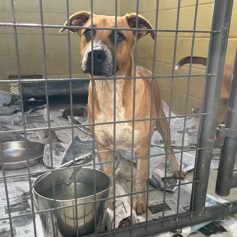 Boomer Rae thumbnail 2