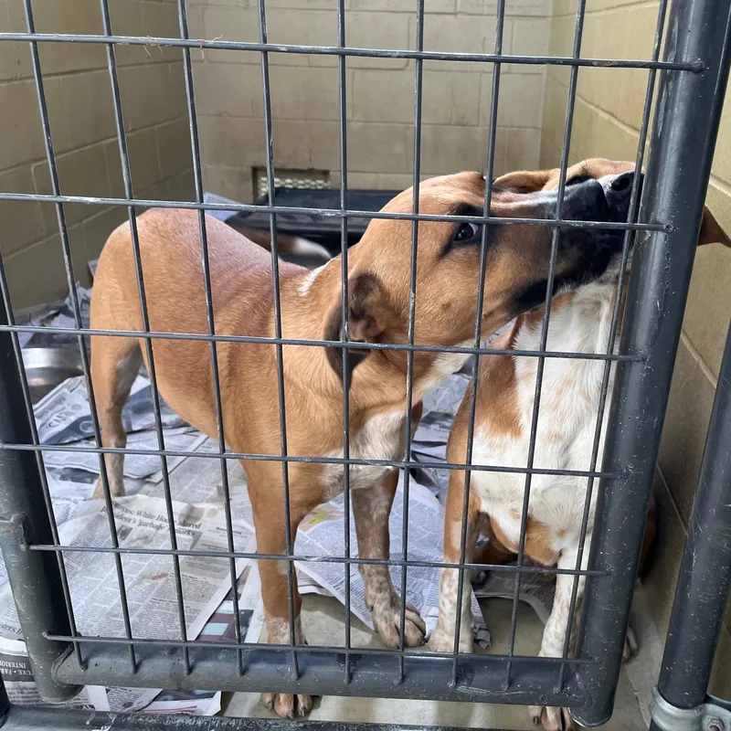 Boomer Rae thumbnail 4