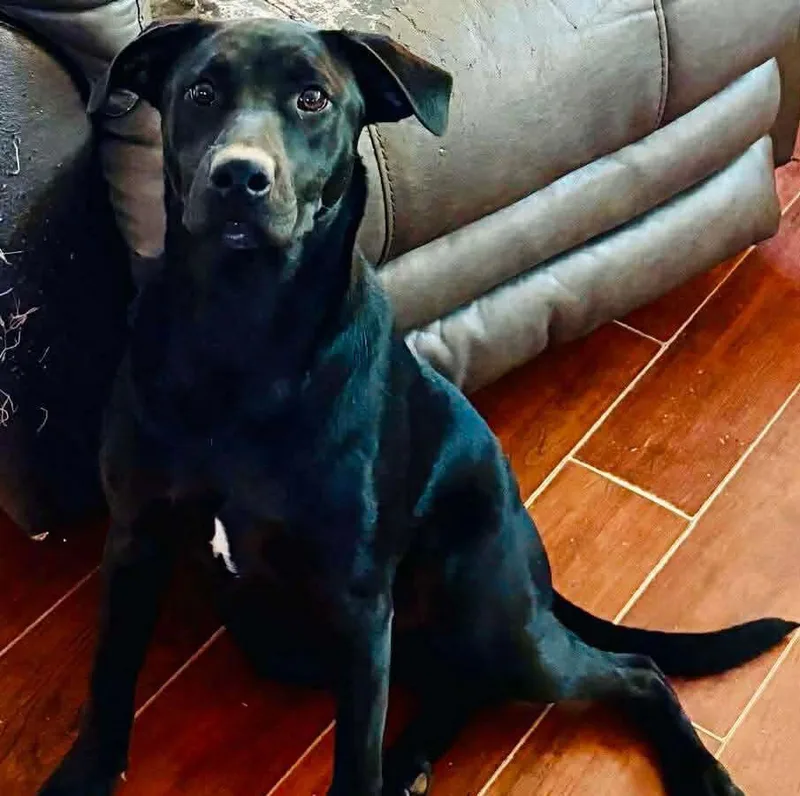 Cassie thumbnail 2