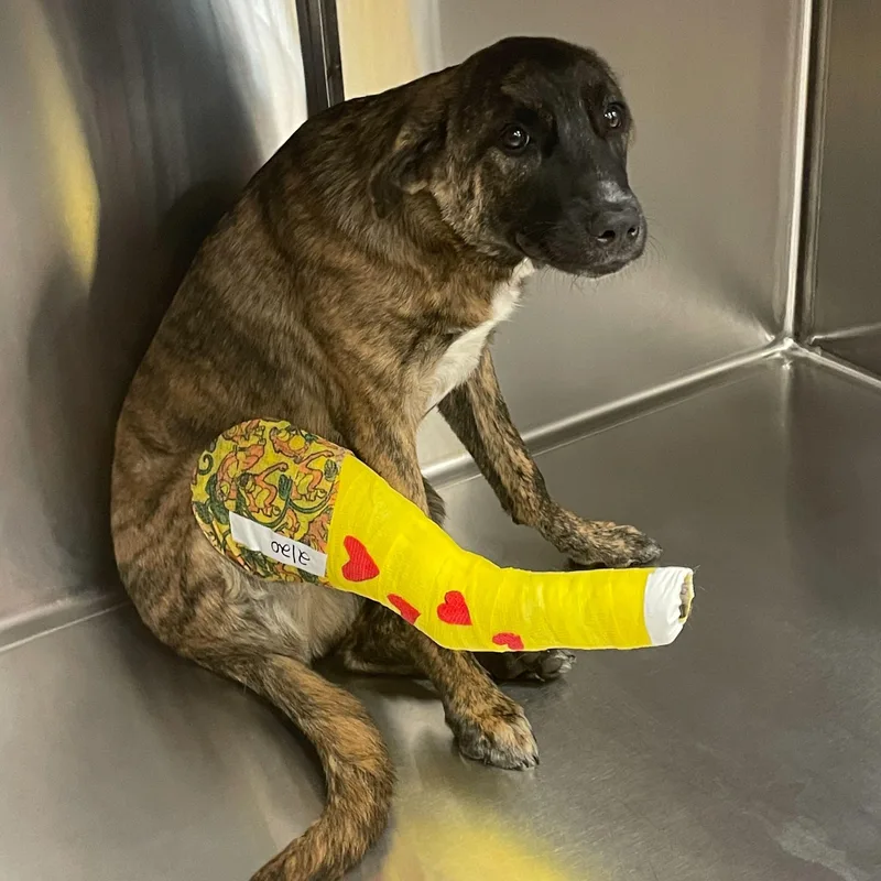 Stromboli thumbnail 2