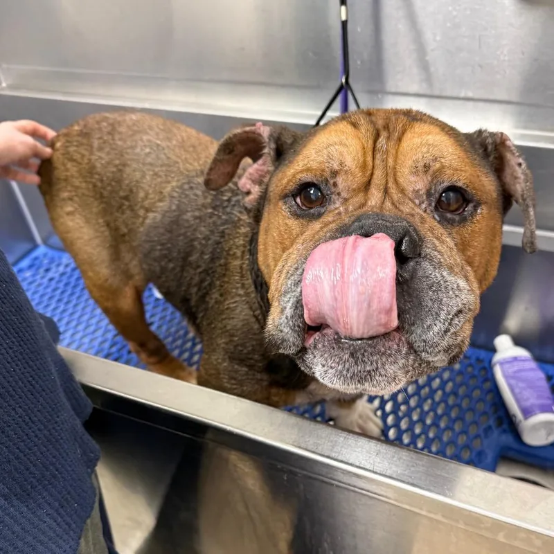 Mr. Worldwide thumbnail 3