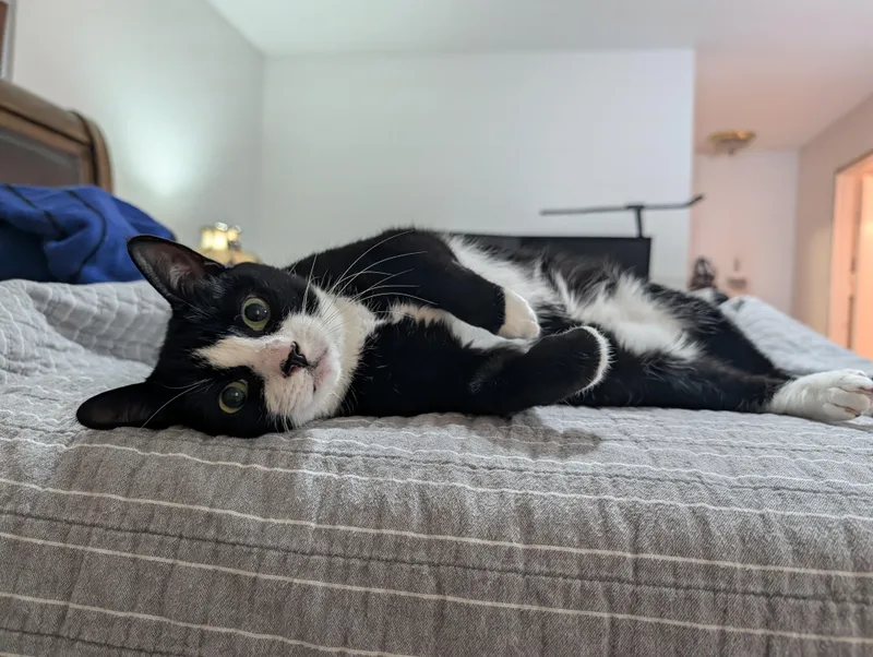 Salem thumbnail 2