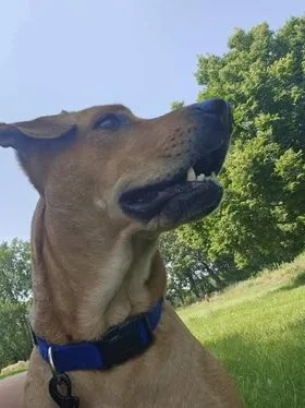 Magdalena thumbnail 2