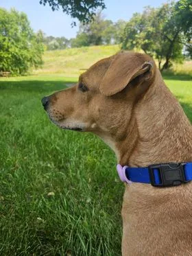 Magdalena thumbnail 3