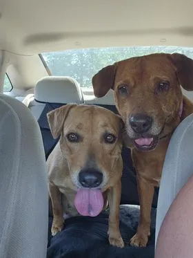 Magdalena thumbnail 4