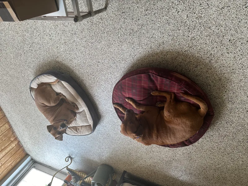 Magdalena thumbnail 5