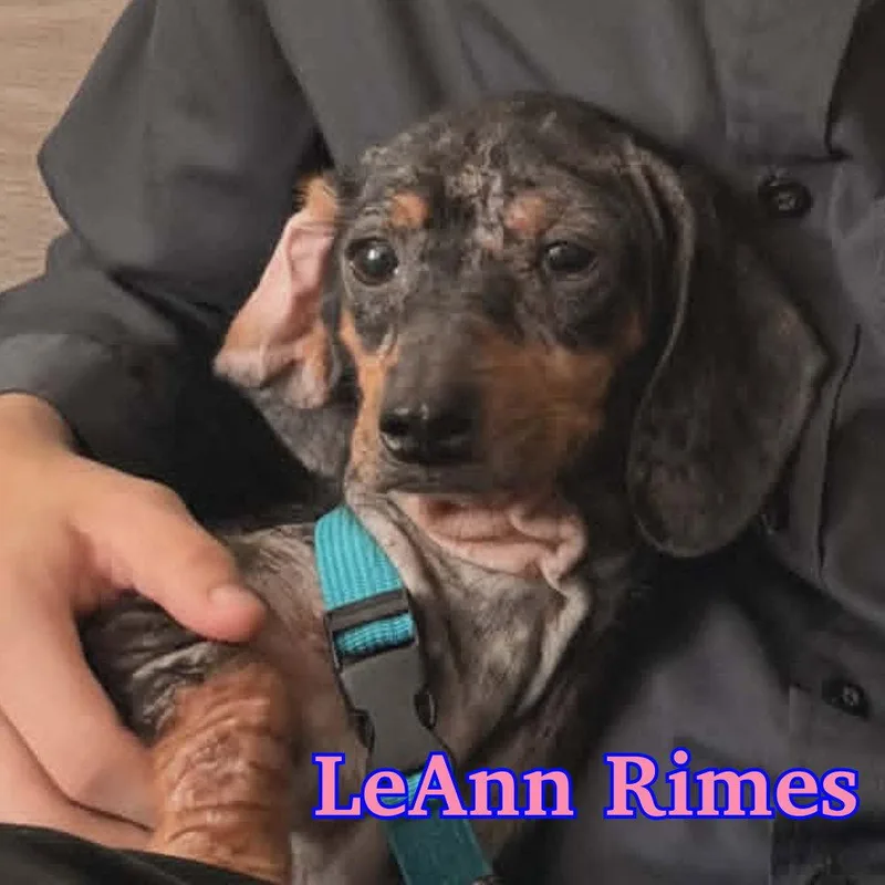 LeAnn Rimes thumbnail 3