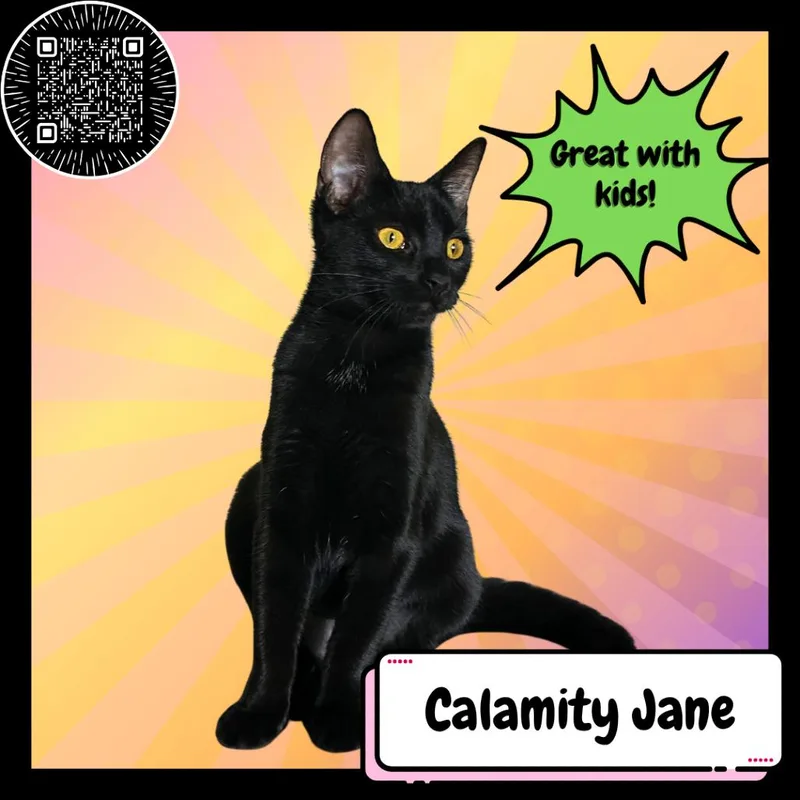 Calamity Jane thumbnail 2