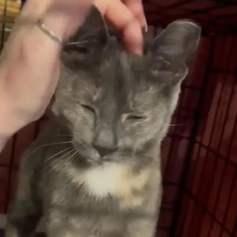 Willow Clark thumbnail 3