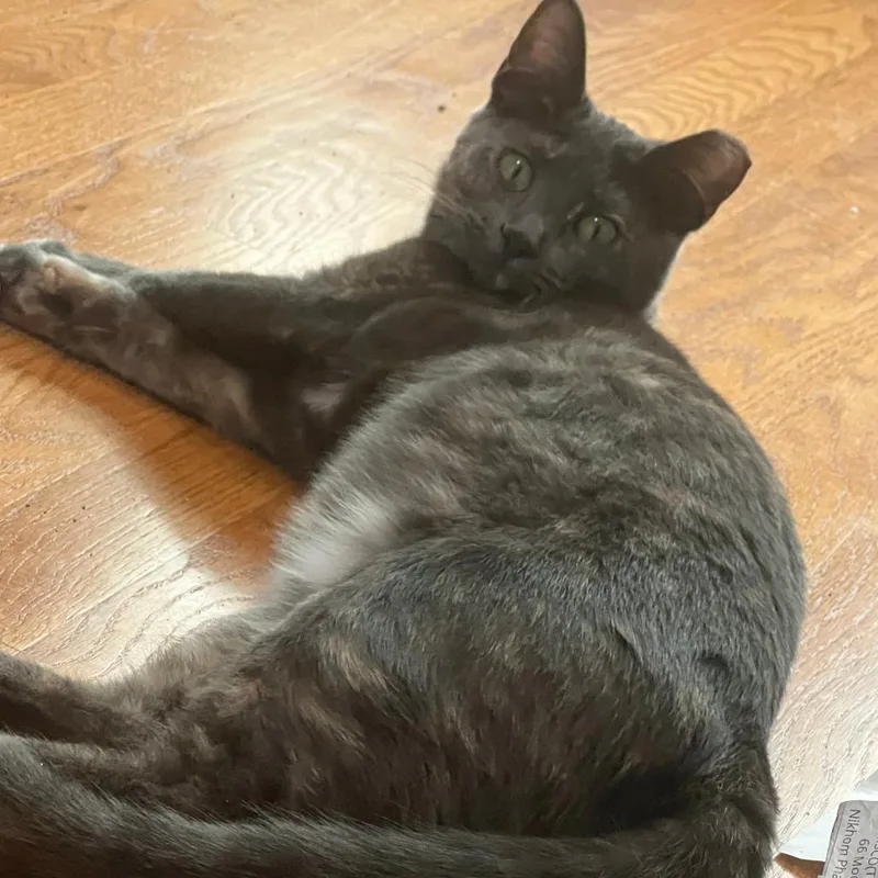 Willow Clark thumbnail 5