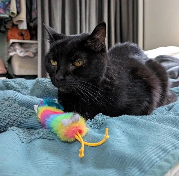 Bonnie Mae thumbnail 2