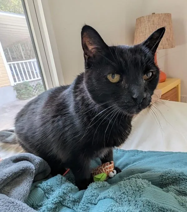 Bonnie Mae thumbnail 3